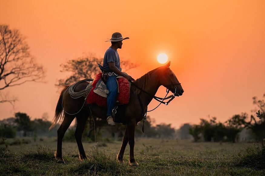 atividade cavalgada donal