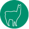 Website reispagina2