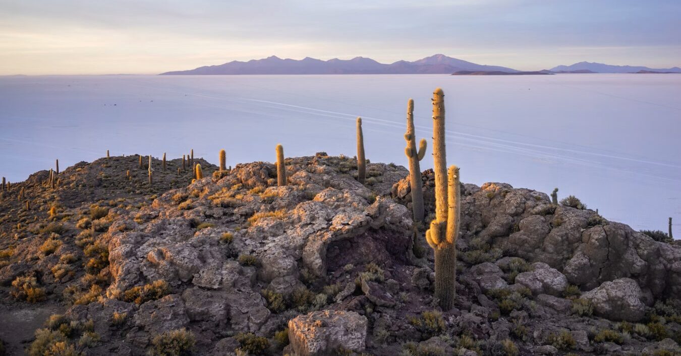 Uyuni Isla de cactus