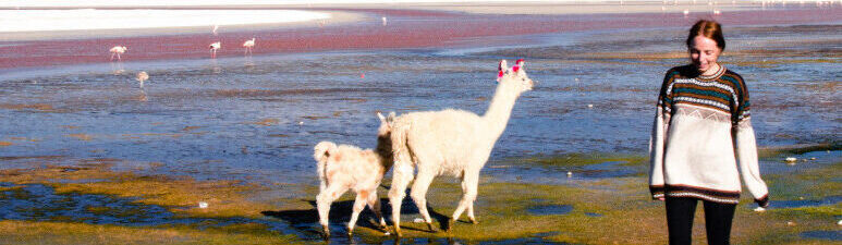 Bolivia hoogtepunten authentiek