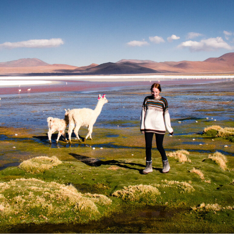 Bolivia hoogtepunten authentiek
